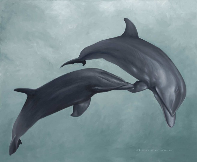 Dolphins-Dwight-Sorensen-29-x-35
