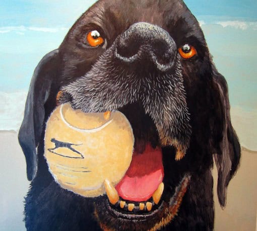 Black Lab