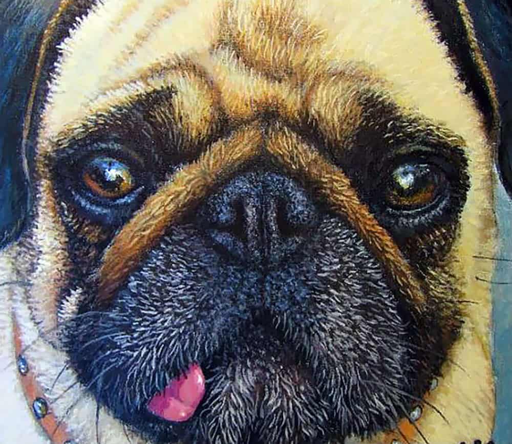 Elvis Pugsley