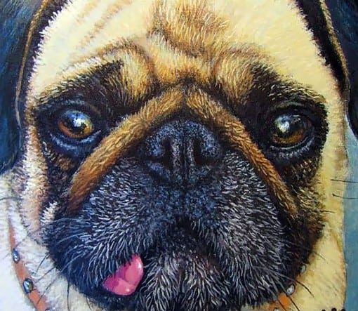 Elvis Pugsley