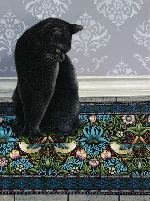 Mars Black Cat