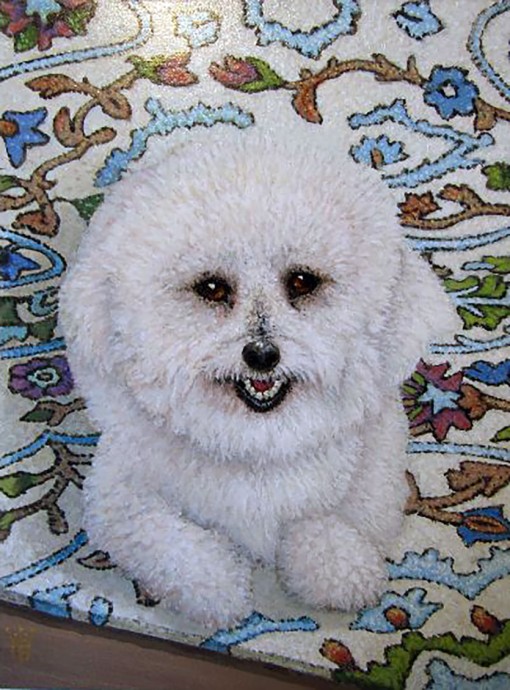 Bichon